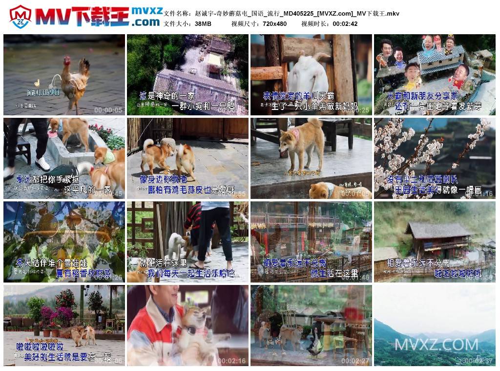 赵诚宇-奇妙蘑菇屯_国语_流行_MD405225